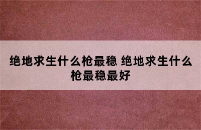 绝地求生什么枪最稳 绝地求生什么枪最稳最好